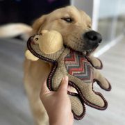 Duvo Plus Canvas gorilla - Здрава играчка за кучета във форма на горила, 29x24x9 см. 3