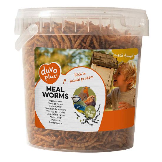 Duvo Plus Meal Worms Bucket - Храна за птици живеещи отвън - изсушени червеи , 200 гр. 1л.