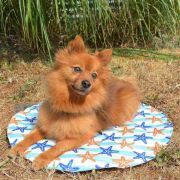 Duvo - Кръгла охлаждаща подложка с ярки летни десени, 60 см. 2