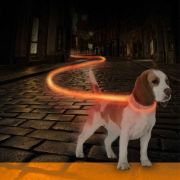 Duvo Plus Ring Flash Licht USB Nylon - Светещ нашийник за кучета , с Usb зареждане ,35 см. до 65 см. зелен 2