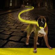 Duvo Plus Jogging Lijn Led Licht - Регулируем светещ повод за кучета, с USB зареждане , 160см.-200 см./2.5см. жълт неон 3
