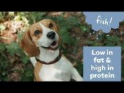 Duvo Plus Crunchy biscuits with chicken - Лакомство за кучета, вкусни хапки с пилешко месо, /400 гр 3