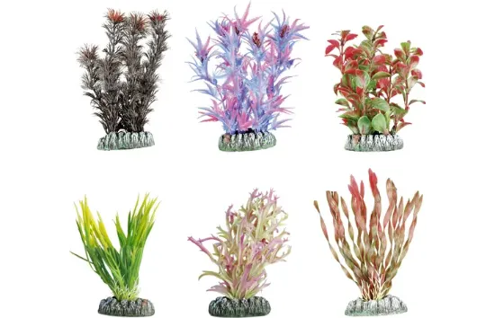 Flamingo Guyana S - Декоративно растение за аквариуми, 12 см./1 брой