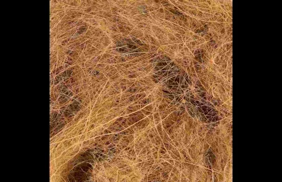 Flamingo Nesting - Материал за гнездене от кокосови влакна, 50 гр.