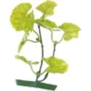 Flamingo Aquariumpflanze Merken - Декоративно цвете за авариуми, 20 см. 4