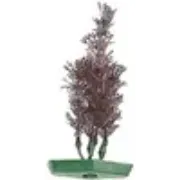 Flamingo - Декоративно растения за аквариуми и терариуми, различни модели 3