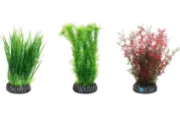 Flamingo Sri Lanka - Декоративно растение за аквариуми и терариуми, 11 см. 1