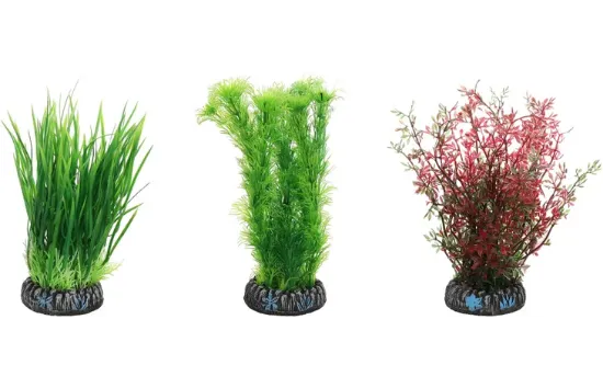 Flamingo Sri Lanka - Декоративно растение за аквариуми и терариуми, 11 см.