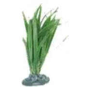 Flamingo Fiji - Декоративно растение за аквариуми,18 см. 3