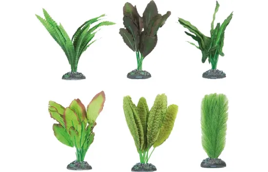 Flamingo - Декоративно растение за аквариуми и терариуми, 12 см./1 брой