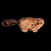 Kong Cat Refillable Beaver - Забавна котешка играчка - бобър с пълнител за коча билка стимулираща играта 2