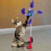 Kong Connects Switch Teasers - Забавна играчка за котки с вендуза за прикрепяне, 53 см. 1