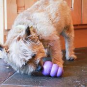 Kong Medium Senior - Забавна гумена играчка за кучета над 6г. с пространство за лакомства 8.5 см. 4