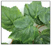 Savannah Amazon Jungle Vine to roll Reptiles-Planet - Декоративно растения за тропически терариум, 2.6 м. 2