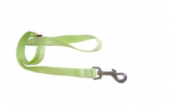 Pet Interest Single Fluo Leash L - Модерен едноцветен повод за кучета, 2,5*120 см. - фосфорно зелено