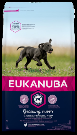 Eukanuba Dog Puppy Large breed - Премиум суха храна за подрастващи кучета от едри породи с пилешко и пуешко месо, 3 кг.