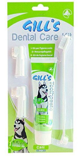 Croci Dental Care Kit - Паста за зъби + подарък четка за зъби