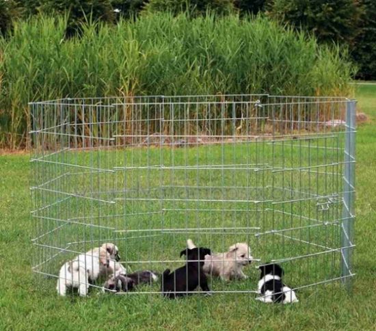 Trixie Puppy Run - Ограда контролираща местоположението на малките кученца 61 х 91 см 8 елемента.