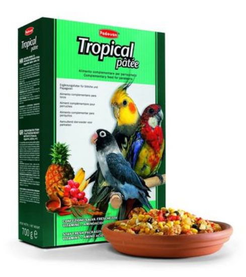 Padovan Tropical Pâtée Пълноценна храна с тропически плодове за средни папагали 700 гр.