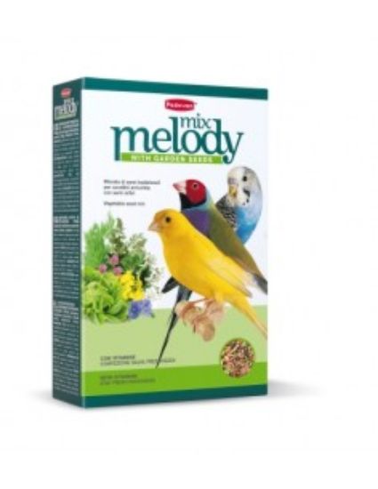 Padovan Melodymix Пълноценна храна за пойни птици 300 гр.