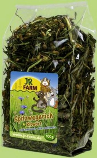 JR Farm - Специалитет, лакомство - Живовлек за гризачи - 100 гр.