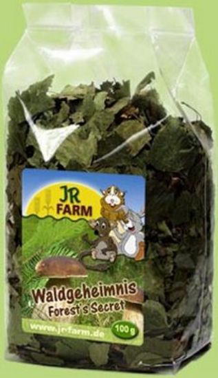 JR Farm - Специалитет, лакомство - Горска тайна за гризачи - 100 гр.