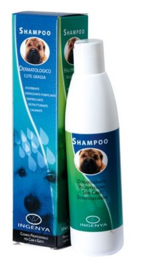 Camon Ingenya Shampoo for greasy skins - Кучешки шампоан за мазна козина 250 мл.