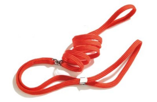 Camon Set with peg - изложбен повод за кучета, 1200 мм / 8мм. - червен