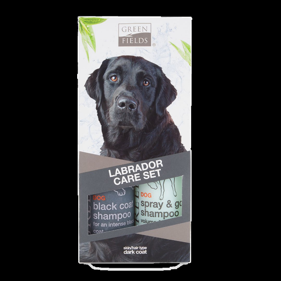 Green Fields - Комплект за кучета от порода лабрадор с тъмна козина, Шампоан за тъмна козина 250 мл + Сух спрей шампоан 250 мл.