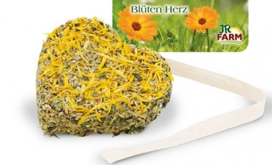 JR Farm - Grainless сърца с много билки и зеленчуци за гризачи - 95 гр.