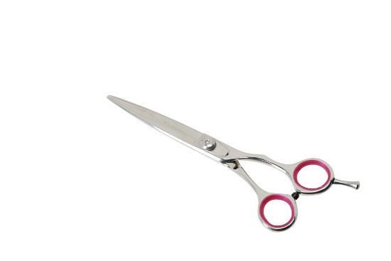 Camon Forbici professionali - Професионална ножица от кобалтова стомана за домашни любимци 24 см