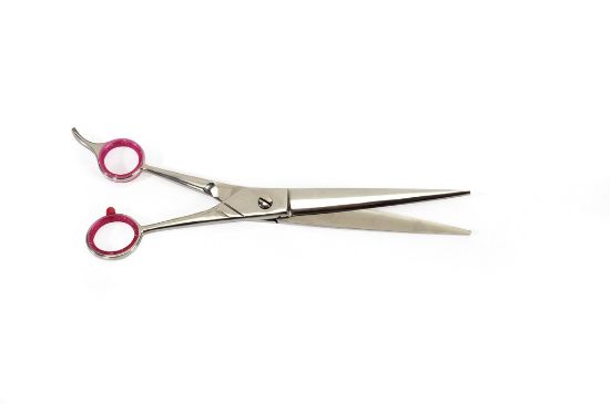 Camon Gator straight scissors - Професионална права ножица за домашни любимци 21 см