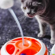 Ferplast Vertigo - Забавна котешка играчка, закачено топче на пружина, Ø 24 x 36,5 см. 3