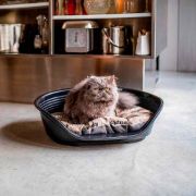 Ferplast Siesta Deluxe 4 black - пластмасово легло за котки и кучета черен цвят 49 Х 36Х 17,5 см с включен дюшек 3