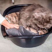 Ferplast Siesta Deluxe 4 black - пластмасово легло за котки и кучета черен цвят 49 Х 36Х 17,5 см с включен дюшек 5