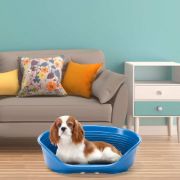 Ferplast Siesta Deluxe 6  - пластмасово легло за котки и кучета син цвят 62 x 41 см 3