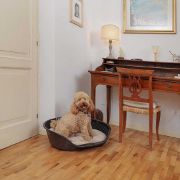 Ferplast Siesta Deluxe 6 black - пластмасово легло за котки и кучета черен цвят 70,5 Х 52 Х 23,5 см с включен дюшек 4