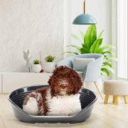 Ferplast Siesta Deluxe 8 black - пластмасово легло за котки и кучета черен цвят 82 Х 59,5 Х 25 см с включен дюшек 3