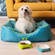 Ferplast Jazzy - Меко водоотблъсквщо легло с възглавница за кучета и котки,66 x 50 x h 20 см. - синьо 3