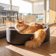 Ferplast Dandy F - Памучно овално легло за кучета и котки с възглавница, 55 x 41 x h 15 см. 3