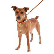 Ferplast Night Over - Светещ нашийник с USB за зареждане за кучета , 50 см. 3