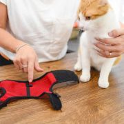 Ferplast Jogging Large - Нагръдник с повод за зайци, котки и големи гризачи, A: 24÷28 см - B: 30÷38 см. 10 мм.- син 5