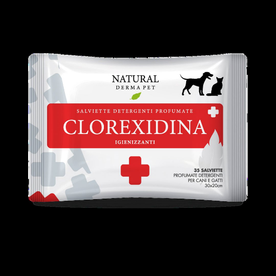 BIG PACK CLOREXIDINA 100 — мокри кърпички с хлорхексидин за кучета и котки, 100 бр.
