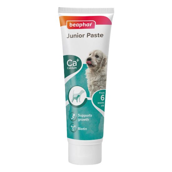 Beaphar Duo Active Junior - Мултивитаминна паста за подрастващи кученца 100 гр.