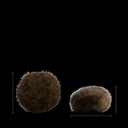 Chicopee Holistic Nature Line No Grain-Храна за котки, за чувствителни и над 7 години с пилешко месо 8 кг. 2
