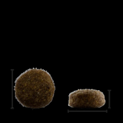 Chicopee Classic Nature Adult-Храна за кучета над 12 месеца с агне и ориз 15 кг. 2