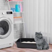Ferplast Nip 30 - Открита котешка тоалетна без брод 49,5 / 64,5 / 14,5 см. 3
