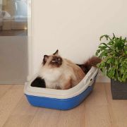Ferplast Birba - Открита котешка тоалетна със специална система за почистване чрез сито, 55,5 / 45,5 / 22 см. 3