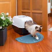 Ferplast Prima Cat Toilet - Затворена котешка тоалетна с филтри с активен въглен,52,5 x 39,5 x h 38 см. 3