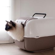 Ferplast Prima Cabrio - Закрита котешка тоалетна с филтър против миризми, 52,5 / 39,5 / 38 см. 6